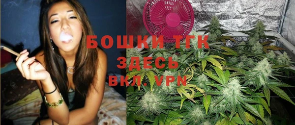 хмурый Алексеевка