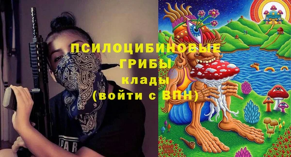 хмурый Алексеевка