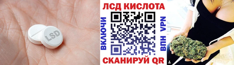 где найти наркотики  Славск  Лсд 25 экстази ecstasy 