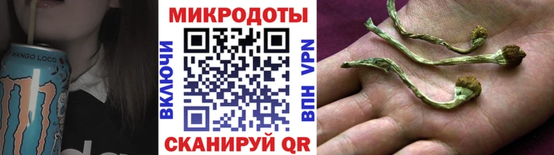 купить   Славск  Галлюциногенные грибы MAGIC MUSHROOMS 